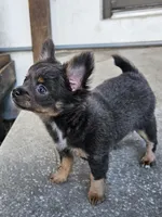 processed/835b3a4a-60c9-4931-814a-ce5fa74c19fe/listing/e9926ffd-8118-4e57-b02e-891a026df615/eaa271cf-6ddd-476e-8693-b1463560c224