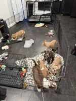 Facility photo