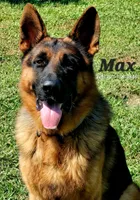 processed/8375a6bc-f66a-4275-bf96-1669d3a5d977/facility/6688471c-ed8f-4551-a5f7-af22568239b2