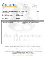 Rosie - AKC 3+ Yrs, a female Bernese Mountain Dog for sale in Branchland, WV – 5 of 7