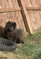 processed/83839c31-5eb5-459f-819c-3db558c95468/listing/723a48b7-d0bc-4732-a766-2b9994029224/1236381f-cd21-490d-84aa-a2d6dc1738fc