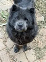 processed/83839c31-5eb5-459f-819c-3db558c95468/listing/723a48b7-d0bc-4732-a766-2b9994029224/6e7ce52e-bc35-475c-83f8-4f17e2a0840c