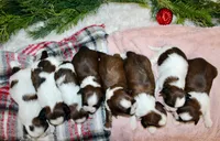 processed/838d4455-1e7b-4516-b2f7-701428708055/listing/18a23c38-d0a0-454e-b4db-5ce8fcf43b82/24bfac53-98ec-42c4-a8f0-8d34df12b3d2