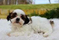 processed/838d4455-1e7b-4516-b2f7-701428708055/listing/18a23c38-d0a0-454e-b4db-5ce8fcf43b82/3fa023fe-d8c7-4268-b704-bcd48f404a68