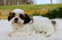 processed/838d4455-1e7b-4516-b2f7-701428708055/listing/18a23c38-d0a0-454e-b4db-5ce8fcf43b82/6e181bf2-5ad3-43d4-945f-c7045f928c39