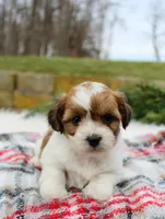 processed/838d4455-1e7b-4516-b2f7-701428708055/listing/2f4df5b0-c1b8-4537-a4e1-c196cc498d75/183d638e-8f82-4fa4-9975-4c071baca59a