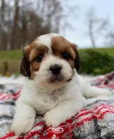 processed/838d4455-1e7b-4516-b2f7-701428708055/listing/2f4df5b0-c1b8-4537-a4e1-c196cc498d75/2b83f788-28ac-42fa-8d90-f35bd56cd958