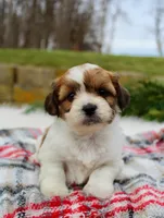 processed/838d4455-1e7b-4516-b2f7-701428708055/listing/2f4df5b0-c1b8-4537-a4e1-c196cc498d75/4bb65e8b-9c2c-4ffc-af39-fe2431948567