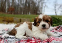 processed/838d4455-1e7b-4516-b2f7-701428708055/listing/2f4df5b0-c1b8-4537-a4e1-c196cc498d75/b0b03046-de83-4726-9f0a-ce1d3bf57fb7