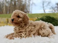 processed/838d4455-1e7b-4516-b2f7-701428708055/listing/339bea62-324b-4b8f-9aca-f3534bd7ff0f/53481abe-8b61-4051-92c1-4e5e9f8ffde9