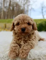 processed/838d4455-1e7b-4516-b2f7-701428708055/listing/339bea62-324b-4b8f-9aca-f3534bd7ff0f/dfd15e64-aec2-4f75-8306-55cf05a1e7d4