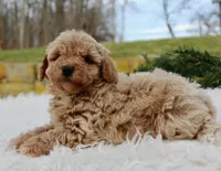 processed/838d4455-1e7b-4516-b2f7-701428708055/listing/339bea62-324b-4b8f-9aca-f3534bd7ff0f/ec896fe7-efc7-4bfd-baac-41f5f2c356a1