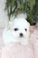 processed/838d4455-1e7b-4516-b2f7-701428708055/listing/38fc9ce8-7549-4914-b3bd-d3dd2e2909a3/037dbceb-f313-46dd-91c9-f9b7f989d3f8