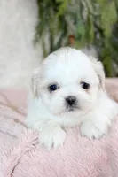 processed/838d4455-1e7b-4516-b2f7-701428708055/listing/38fc9ce8-7549-4914-b3bd-d3dd2e2909a3/f0a19287-c137-4a26-bc5a-4d15c2df12a7