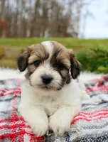 processed/838d4455-1e7b-4516-b2f7-701428708055/listing/47a4f6bf-c376-4c1b-b391-6b33160702e9/845571b4-2bed-45b7-8195-d1a8e61308dc