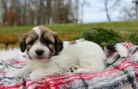 processed/838d4455-1e7b-4516-b2f7-701428708055/listing/47a4f6bf-c376-4c1b-b391-6b33160702e9/92088d99-d445-4360-8b94-8f928a8121f8