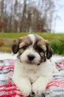 processed/838d4455-1e7b-4516-b2f7-701428708055/listing/47a4f6bf-c376-4c1b-b391-6b33160702e9/9a6d13ed-65db-45f3-868e-a13c29dbecf2