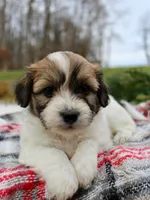 processed/838d4455-1e7b-4516-b2f7-701428708055/listing/47a4f6bf-c376-4c1b-b391-6b33160702e9/d5d1d553-09f2-4e56-ab7b-421a89f39001