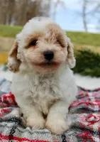 processed/838d4455-1e7b-4516-b2f7-701428708055/listing/561e81b6-3cc1-4074-899c-3b48635b1e29/9be1d225-d6d6-42ea-8b0a-d4f0086707a3