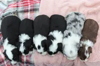 processed/838d4455-1e7b-4516-b2f7-701428708055/listing/c1e8760b-d8ec-4fc8-816b-0f5e8738d27f/c840ba6e-d9d5-44a3-83fc-97d51f1e789d