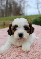 processed/838d4455-1e7b-4516-b2f7-701428708055/listing/ed899673-191c-4e4b-89c2-1bbfd3d99f16/c2df7447-b42e-4e59-986a-783801423bfb