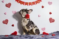 processed/838e9ba1-52fa-48d5-b6f8-414345f3b952/listing/1f646078-95e7-48cf-87da-ac49c3a0fee1/29cc828a-4b5e-445c-bba4-e369f0fb8df2