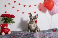 processed/838e9ba1-52fa-48d5-b6f8-414345f3b952/listing/1f646078-95e7-48cf-87da-ac49c3a0fee1/46f27e2b-991f-4ef7-99e8-3bc3f2561d02