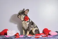 processed/838e9ba1-52fa-48d5-b6f8-414345f3b952/listing/1f646078-95e7-48cf-87da-ac49c3a0fee1/c54bc6a5-1557-4329-9575-b0d1da0774da