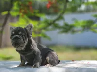 processed/838e9ba1-52fa-48d5-b6f8-414345f3b952/listing/5bbd2286-88b5-4f26-897f-d879ffb1f3b0/67e704ec-42b2-4953-a007-3da78756ecf2