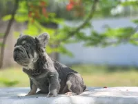 processed/838e9ba1-52fa-48d5-b6f8-414345f3b952/listing/5bbd2286-88b5-4f26-897f-d879ffb1f3b0/8cafe276-65ca-4188-8227-10a17a6c5e06