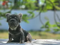 processed/838e9ba1-52fa-48d5-b6f8-414345f3b952/listing/5bbd2286-88b5-4f26-897f-d879ffb1f3b0/93a349b7-7776-404f-88e1-40503b6116b3