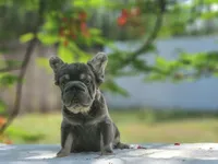 processed/838e9ba1-52fa-48d5-b6f8-414345f3b952/listing/5bbd2286-88b5-4f26-897f-d879ffb1f3b0/a043797b-3bf4-465b-bdcd-4c55fdf7fa0d