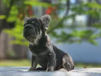 processed/838e9ba1-52fa-48d5-b6f8-414345f3b952/listing/5bbd2286-88b5-4f26-897f-d879ffb1f3b0/d312ef3f-3112-46c7-aa64-cf94c481ecf3