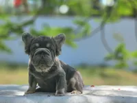 processed/838e9ba1-52fa-48d5-b6f8-414345f3b952/listing/5bbd2286-88b5-4f26-897f-d879ffb1f3b0/ee2c9fb6-026e-47de-b54c-8da4197acaa2