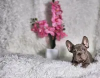 processed/838e9ba1-52fa-48d5-b6f8-414345f3b952/listing/65ba640e-3403-4d80-aea8-b8b12b23865c/45ec1f54-688d-4963-a783-bf2abbd77cb5