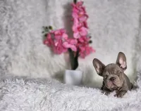 processed/838e9ba1-52fa-48d5-b6f8-414345f3b952/listing/65ba640e-3403-4d80-aea8-b8b12b23865c/5f394a48-cb0b-4395-828b-a5232f68d23f