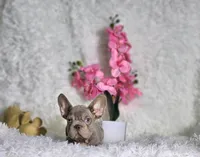 processed/838e9ba1-52fa-48d5-b6f8-414345f3b952/listing/65ba640e-3403-4d80-aea8-b8b12b23865c/da911d80-6588-4b52-9409-8a67563ffce7