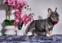 processed/838e9ba1-52fa-48d5-b6f8-414345f3b952/listing/a7e7eb1d-8532-4891-84c1-d3a2707663ab/a60fb8ed-4264-464b-91ce-021ce3bdbadf