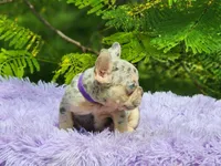 Lia, a female French Bulldog for sale in Palm Beach, FL – 3 of 5