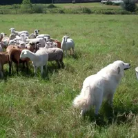 processed/839399a2-3e3e-4e04-b0c3-db600bb82bb9/facility/966156f7-fd89-40a7-8aae-cad64410d565