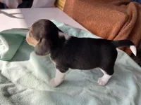 processed/839ab5fb-ad44-4cbc-a7a4-78a7e466b00e/listing/2f1944e3-feb1-482a-be18-e788d8661a38/52826857-e189-4b6c-b379-bc69a06d3c3b