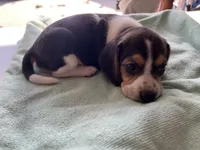 processed/839ab5fb-ad44-4cbc-a7a4-78a7e466b00e/listing/b572a139-0db5-4590-810d-ac848de0c993/24cf361f-a112-403e-81a6-6edabd1b75ee