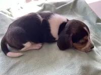 processed/839ab5fb-ad44-4cbc-a7a4-78a7e466b00e/listing/b572a139-0db5-4590-810d-ac848de0c993/59df5e4c-9485-4a0a-b8ee-74214934db57