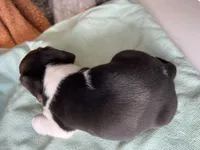 processed/839ab5fb-ad44-4cbc-a7a4-78a7e466b00e/listing/b572a139-0db5-4590-810d-ac848de0c993/ab0eb1af-6048-45c6-bab5-2cf918924fd9