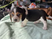 processed/839ab5fb-ad44-4cbc-a7a4-78a7e466b00e/listing/ba8cd11a-f155-43aa-9373-51b7851378d7/e009fdda-c28b-4162-8790-6b6f0ddca9a0