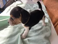 processed/839ab5fb-ad44-4cbc-a7a4-78a7e466b00e/listing/ef4f8785-e2ab-4ac9-979d-a5a5b0ae2398/252893eb-302c-4ef2-80d4-ae9d905b567a