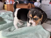 processed/839ab5fb-ad44-4cbc-a7a4-78a7e466b00e/listing/ef4f8785-e2ab-4ac9-979d-a5a5b0ae2398/a7bba32e-3bf1-4217-914b-860b87dc46f9