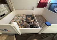 processed/83a0f373-ad5a-4f96-bb4d-2ed64b70a23f/facility/ebb49c6d-3c9d-4fa8-9ef3-45032f9150e3