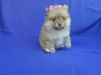 processed/83a14d86-a599-4ab4-bd6a-adc1dcf64190/facility/457f12bd-bbd0-4648-b0c1-48467e7ff8f9