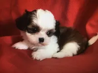 processed/83a14d86-a599-4ab4-bd6a-adc1dcf64190/facility/6494520e-a221-49dd-bd5e-338469442787